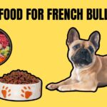 BEST FOOD FOR FRENCH BULLDOGs
